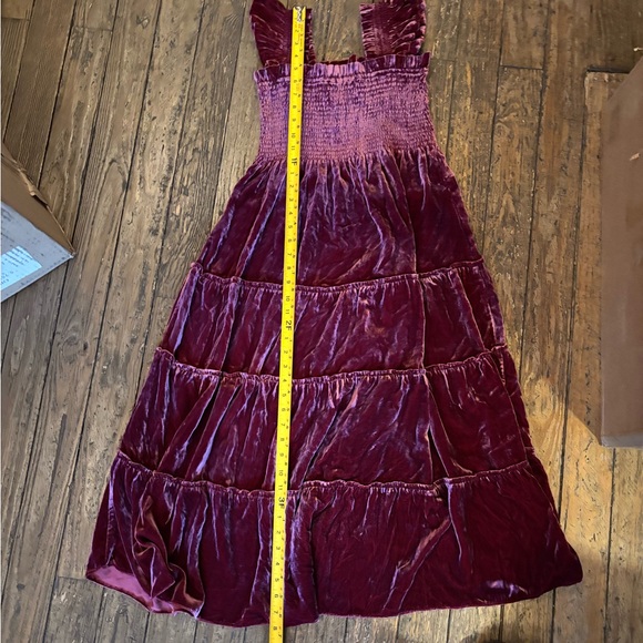 Burgundy Velvet Hill House Nap Dress - Picture 5 of 6